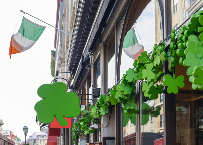 irlanda lisans eğitimi